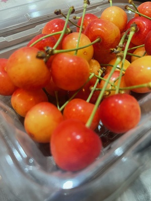 image1.jpeg