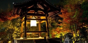 こころの写メ日記｜トリプルA 横浜高級店ソープ