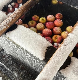 こころの写メ日記｜トリプルA 吉原高級店ソープ