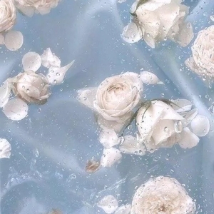 ちひろの写メ日記｜トリプルA 吉原高級店ソープ