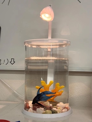 あいりの写メ日記｜トリプルA 横浜高級店ソープ