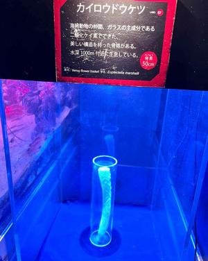 今田かなこの写メ日記｜エマーブル 吉原大衆店ソープ