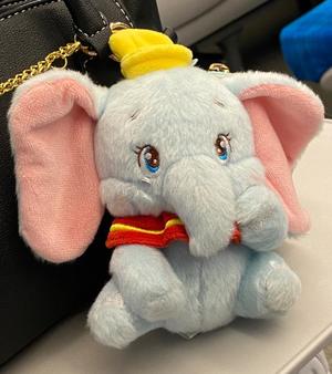 ふわりの写メ日記｜アクアマリン 茨城県・水戸格安店ソープ