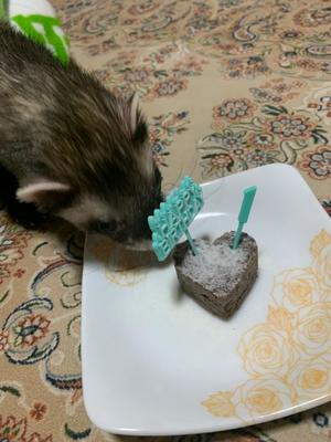 ことりの写メ日記｜ビッグマン 吉原大衆店ソープ