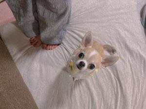 あやのの写メ日記｜ビッグマン 吉原大衆店ソープ