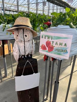 あやのの写メ日記｜ビッグマン 吉原大衆店ソープ