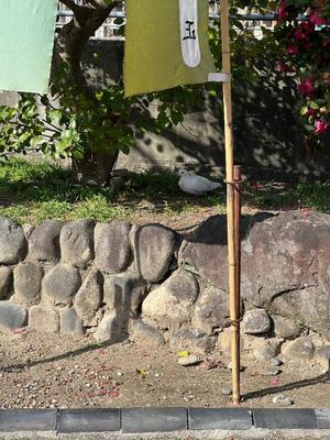 あやのの写メ日記｜ビッグマン 吉原大衆店ソープ