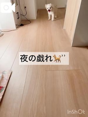 渚 のえるの写メ日記｜カサノヴァ 吉原大衆店ソープ