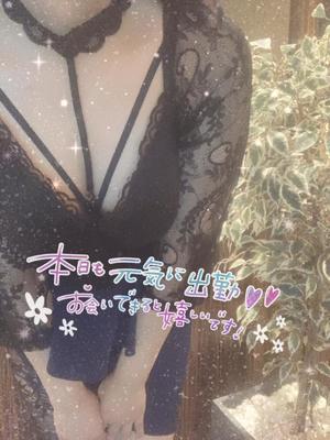 星宮 はるなの写メ日記｜カサノヴァ 吉原大衆店ソープ