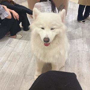 桜井 ひなたの写メ日記｜カサノヴァ 吉原大衆店ソープ