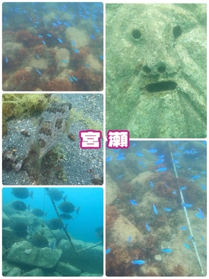 宮瀬えりかの写メ日記｜シャトーペトラ 吉原大衆店ソープ