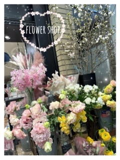 杏樹の写メ日記｜シャトーペトラ 吉原大衆店ソープ