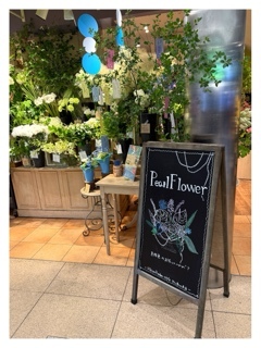 杏樹の写メ日記｜シャトーペトラ 吉原大衆店ソープ