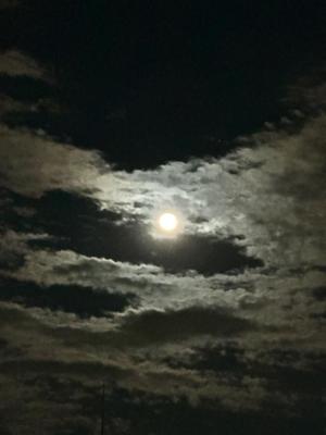 黒木の写メ日記｜シャトーペトラ 吉原大衆店ソープ