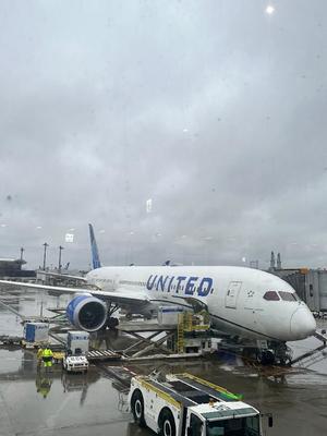 黒木の写メ日記|シャトーペトラ 吉原大衆店ソープ