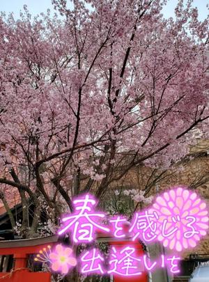 柚葉の写メ日記|シャトーペトラ 吉原大衆店ソープ