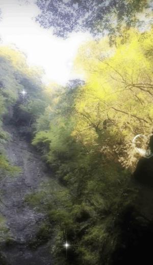 福永べにの写メ日記｜シャトーペトラ 吉原大衆店ソープ