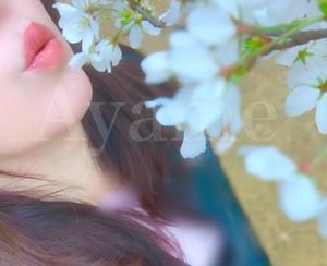 紫 あやめの写メ日記｜シャトーペトラ 吉原大衆店ソープ