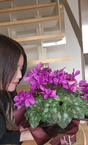 青山せりの写メ日記｜シャトーペトラ 吉原大衆店ソープ