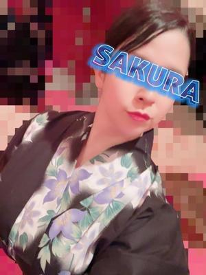 結城さくらの写メ日記|シャトーペトラ 吉原大衆店ソープ