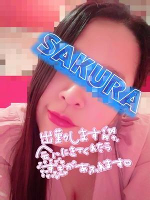 結城さくらの写メ日記|シャトーペトラ 吉原大衆店ソープ