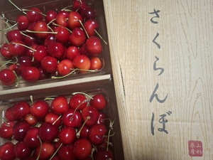 彩の写メ日記｜シャトーペトラ 吉原大衆店ソープ