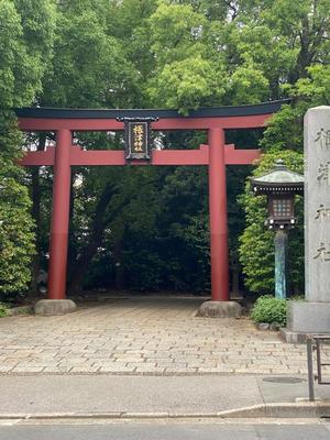 進藤の写メ日記｜シャトーペトラ 吉原大衆店ソープ