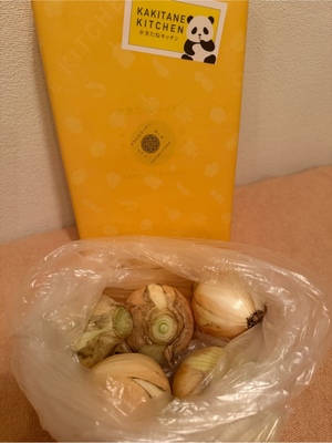ふじのの写メ日記｜シャトーペトラ 吉原大衆店ソープ