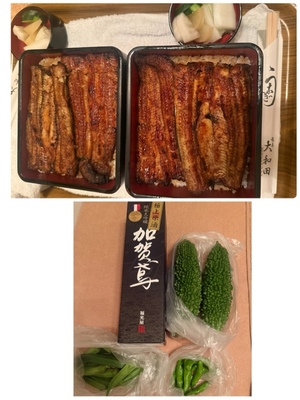 ふじのの写メ日記｜シャトーペトラ 吉原大衆店ソープ