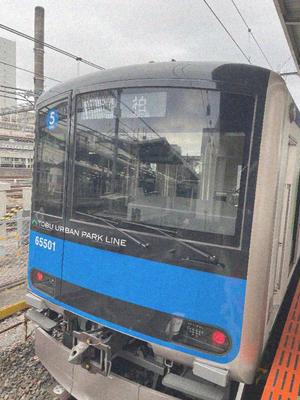 詩音の写メ日記｜シャトーペトラ 吉原大衆店ソープ