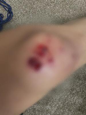 詩音の写メ日記｜シャトーペトラ 吉原大衆店ソープ