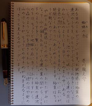 藤咲の写メ日記｜シャトーペトラ 吉原大衆店ソープ