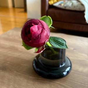 りんごの写メ日記｜クラブ貴公子 吉原大衆店ソープ