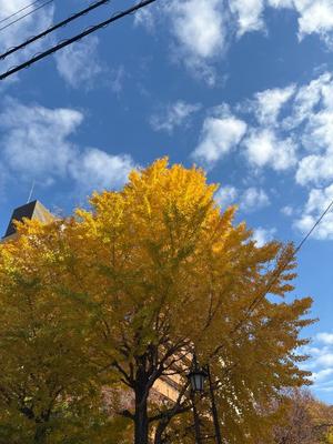 りんごの写メ日記｜クラブ貴公子 吉原大衆店ソープ