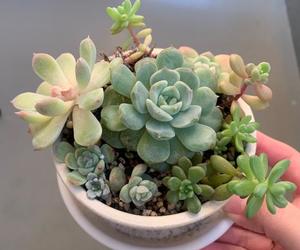 るりの写メ日記｜クラブ貴公子 吉原大衆店ソープ