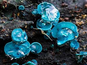 カヲルの写メ日記｜クラブ貴公子 吉原大衆店ソープ