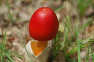 カヲルの写メ日記｜クラブ貴公子 吉原大衆店ソープ