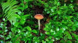 カヲルの写メ日記｜クラブ貴公子 吉原大衆店ソープ