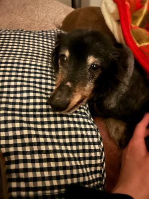 りこの写メ日記｜クラブオアシス 吉原大衆店ソープ