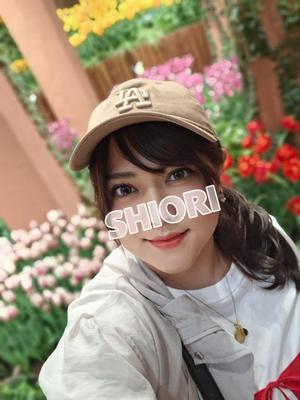 しおりの写メ日記｜クラブオアシス 吉原大衆店ソープ