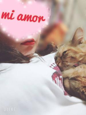 みあもの写メ日記｜クラブオアシス 吉原大衆店ソープ