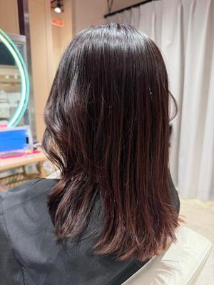 姫咲（きさき）の写メ日記｜クラブオアシス 吉原大衆店ソープ