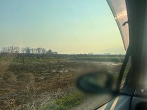 はなびの写メ日記｜クラブオアシス 吉原大衆店ソープ