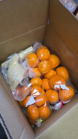 ひかるの写メ日記｜クラブオアシス 吉原大衆店ソープ