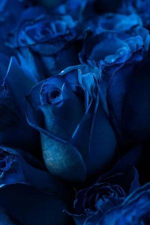 まおの写メ日記｜クラブオアシス 吉原大衆店ソープ