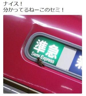 みわの写メ日記｜クラブオアシス 吉原大衆店ソープ
