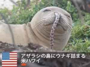みわの写メ日記｜クラブオアシス 吉原大衆店ソープ