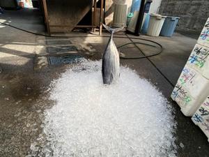 みわの写メ日記｜クラブオアシス 吉原大衆店ソープ