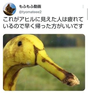 みわの写メ日記｜クラブオアシス 吉原大衆店ソープ