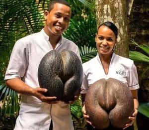 みわの写メ日記｜クラブオアシス 吉原大衆店ソープ